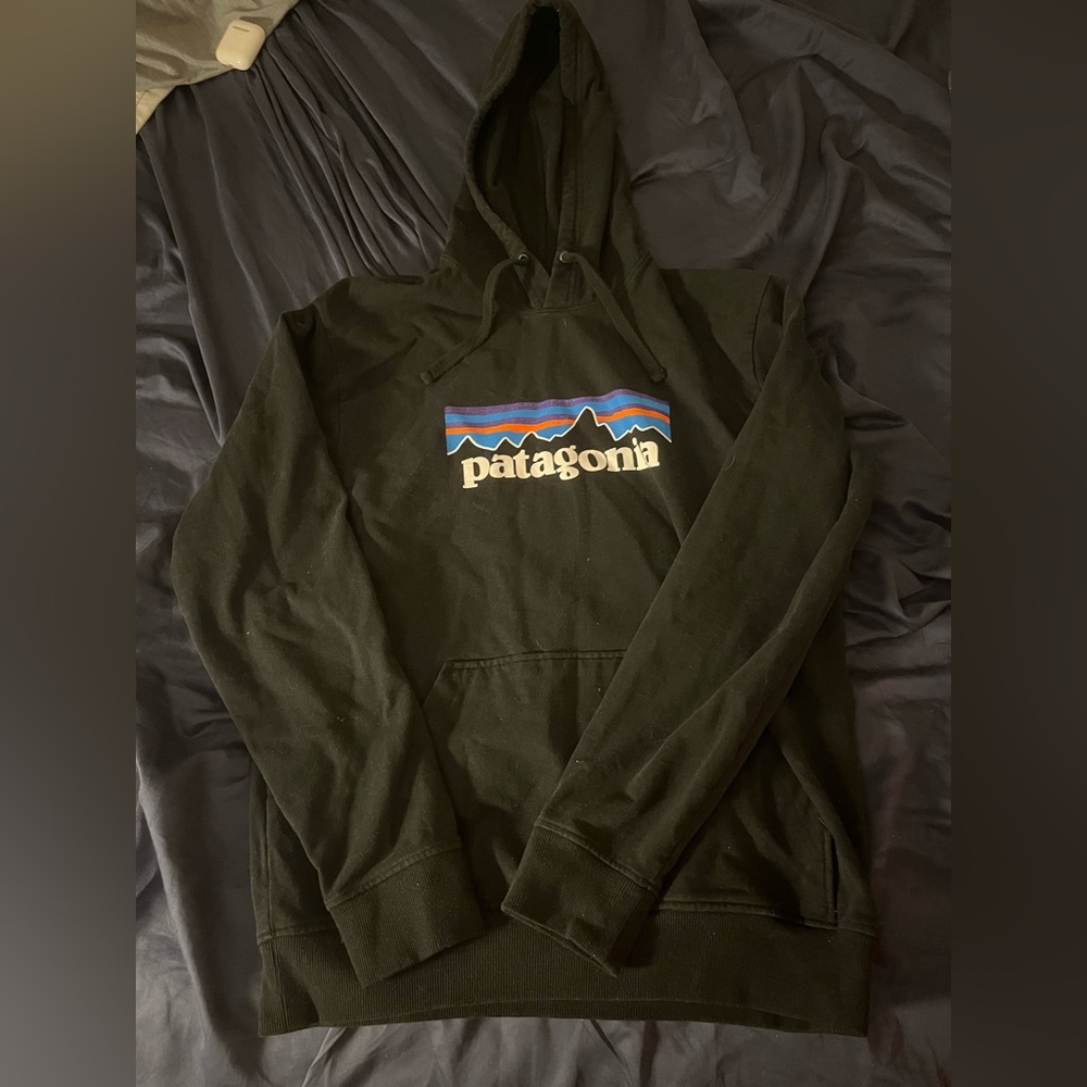 Patagonia organic hoodie